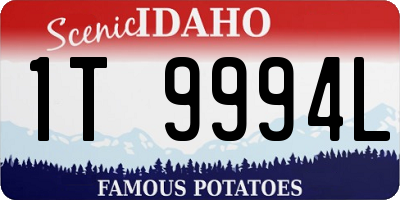 ID license plate 1T9994L