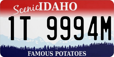 ID license plate 1T9994M