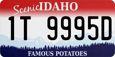 ID license plate 1T9995D