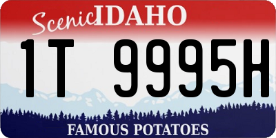 ID license plate 1T9995H