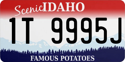 ID license plate 1T9995J