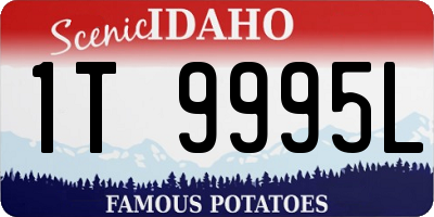 ID license plate 1T9995L