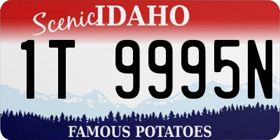 ID license plate 1T9995N