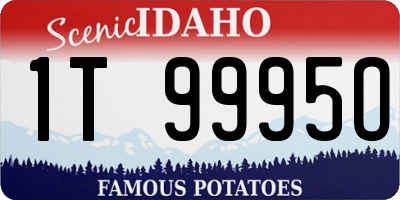 ID license plate 1T9995O