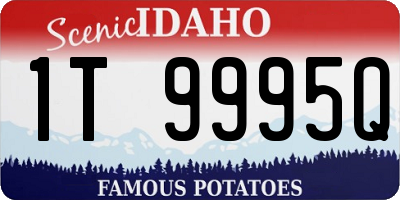 ID license plate 1T9995Q