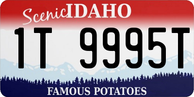 ID license plate 1T9995T