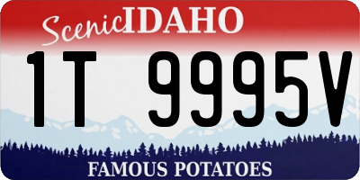 ID license plate 1T9995V