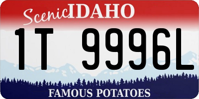 ID license plate 1T9996L