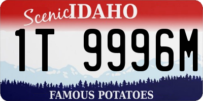 ID license plate 1T9996M