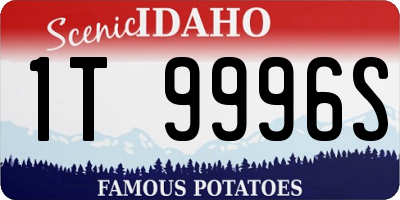 ID license plate 1T9996S