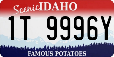 ID license plate 1T9996Y