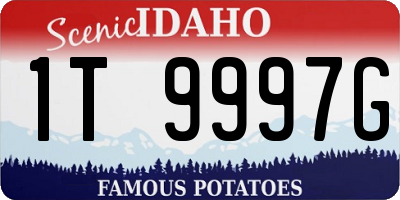 ID license plate 1T9997G