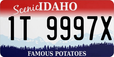 ID license plate 1T9997X