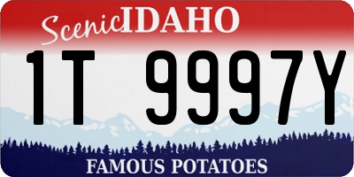 ID license plate 1T9997Y