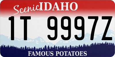 ID license plate 1T9997Z