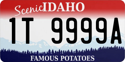 ID license plate 1T9999A