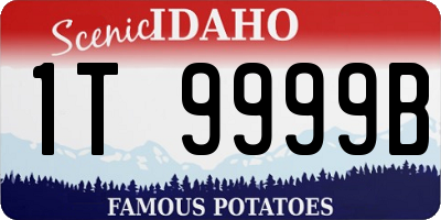 ID license plate 1T9999B