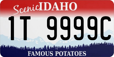 ID license plate 1T9999C
