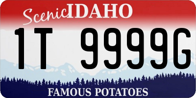 ID license plate 1T9999G