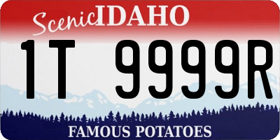 ID license plate 1T9999R