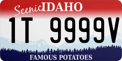 ID license plate 1T9999V