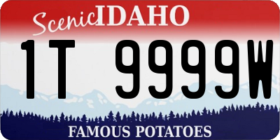 ID license plate 1T9999W
