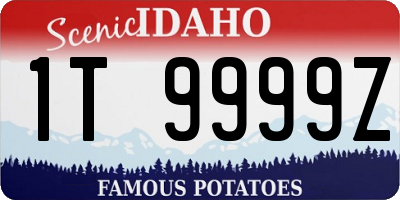 ID license plate 1T9999Z