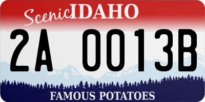 ID license plate 2A0013B