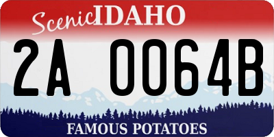 ID license plate 2A0064B