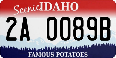 ID license plate 2A0089B