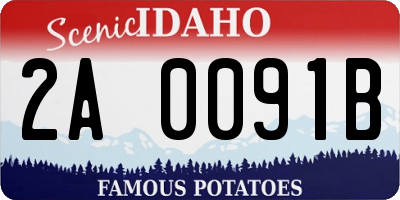 ID license plate 2A0091B