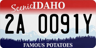 ID license plate 2A0091Y