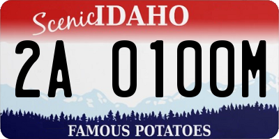 ID license plate 2A0100M