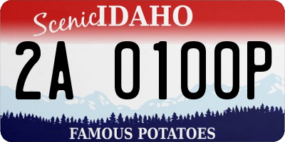 ID license plate 2A0100P
