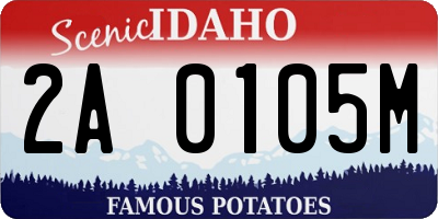 ID license plate 2A0105M