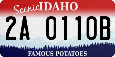 ID license plate 2A0110B