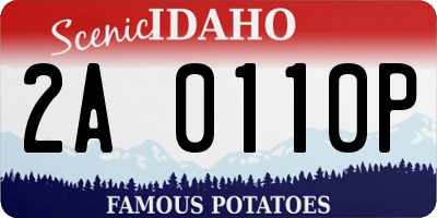 ID license plate 2A0110P