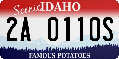 ID license plate 2A0110S