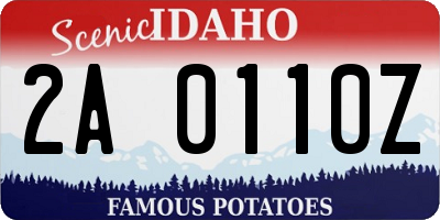 ID license plate 2A0110Z