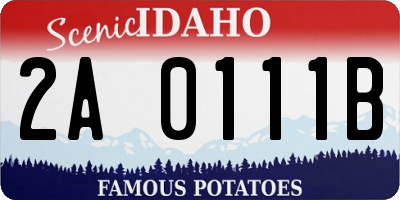 ID license plate 2A0111B