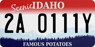 ID license plate 2A0111Y