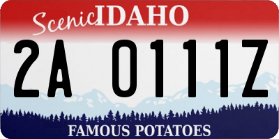 ID license plate 2A0111Z