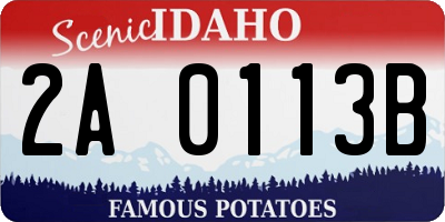 ID license plate 2A0113B