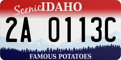 ID license plate 2A0113C