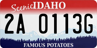 ID license plate 2A0113G