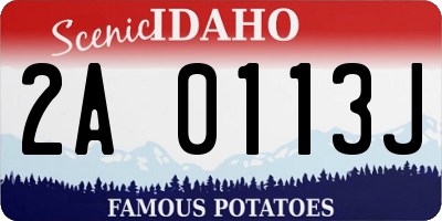 ID license plate 2A0113J