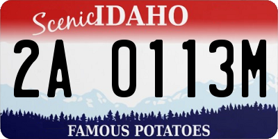 ID license plate 2A0113M