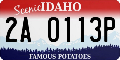 ID license plate 2A0113P