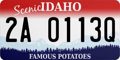 ID license plate 2A0113Q