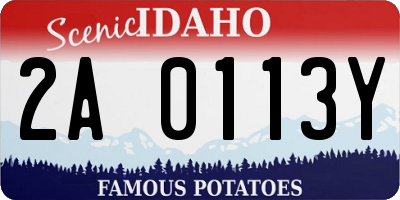 ID license plate 2A0113Y